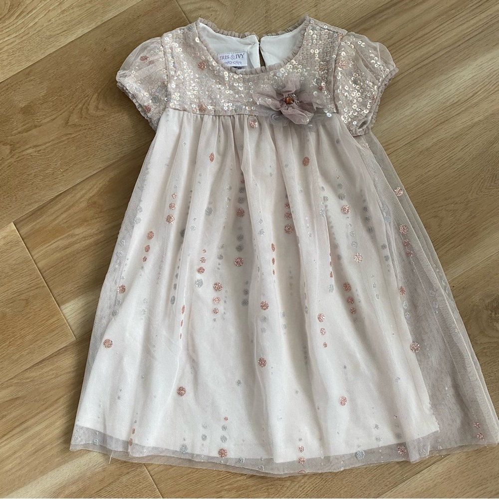 Iris & Ivy Toddler Dress